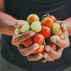 Soluzioni gestione del suolo e produzione agricola a Sassari